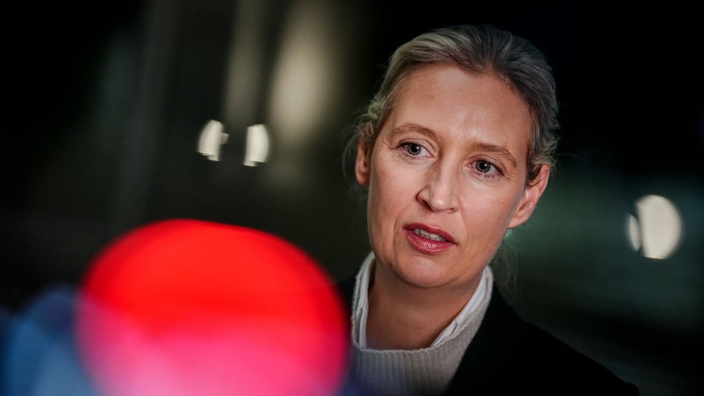 AfD-Chefin Alice Weidel sieht ihre Partei in baldiger Regierungsverantwortung und die AfD-Nachwuchsorganisation als „Kaderschmiede“.