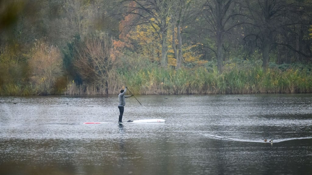 Die nächsten Tage erwartet der Deutsche Wetterdienst für Niedersachsen und Bremen trübes Wetter mit milden Temperaturen. (Symbolbild)