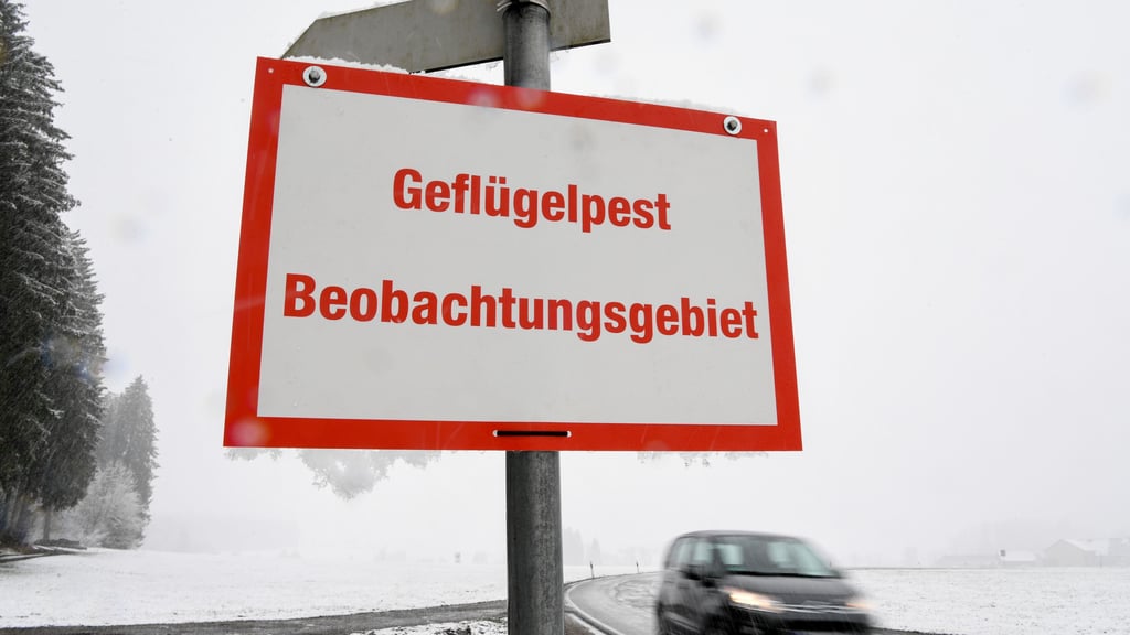 Im Landkreis Anhalt-Bitterfeld gibt es einen Geflügelpestfalle. 