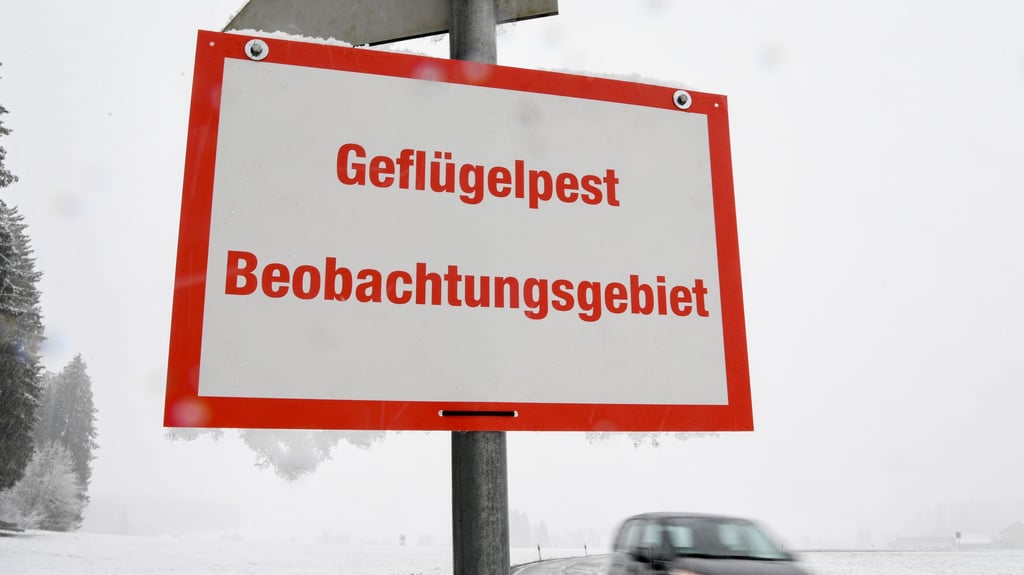 Im Landkreis Anhalt-Bitterfeld gibt es einen Geflügelpestfalle. 