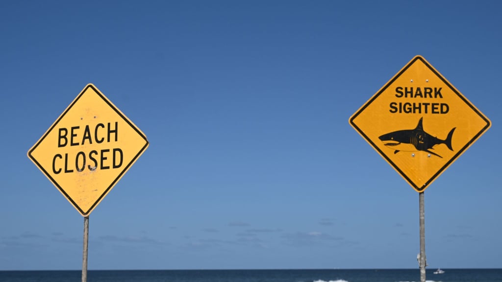 Die Strände in der Region wurden zunächst gesperrt. (Symbolbild)