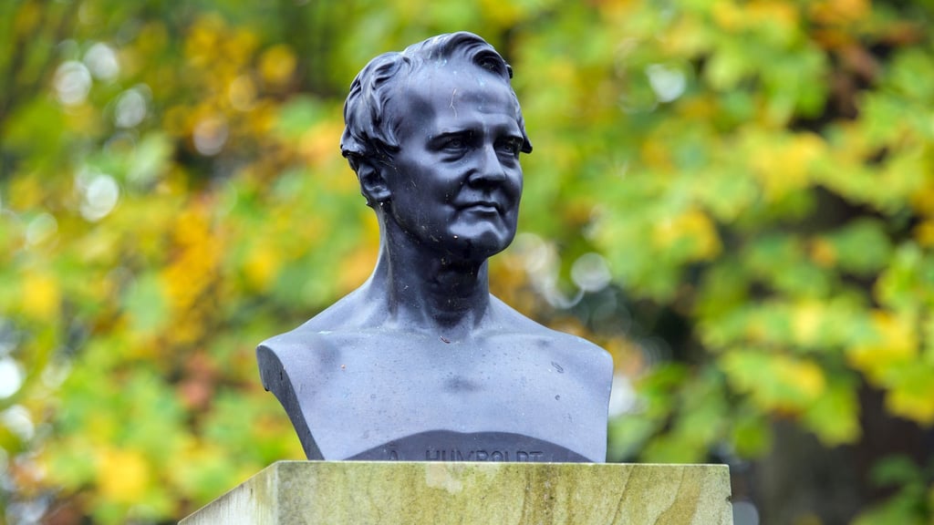 Die renommierte Bioingenieurin Sahika Inal hat eine Humboldt-Professur erhalten und soll künftig in Dresden forschen. (Symbolbild)