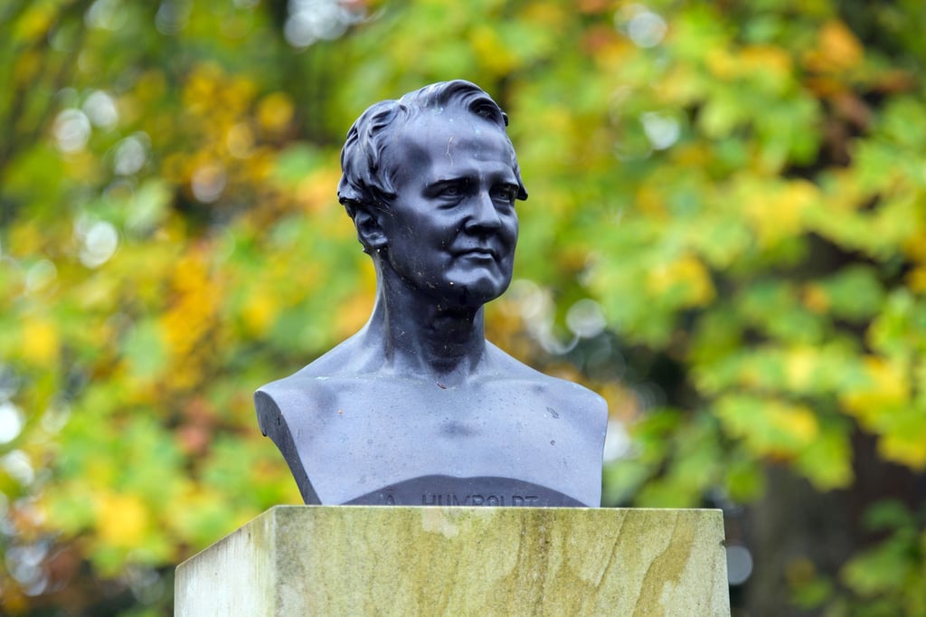 Die renommierte Bioingenieurin Sahika Inal hat eine Humboldt-Professur erhalten und soll künftig in Dresden forschen. (Symbolbild)