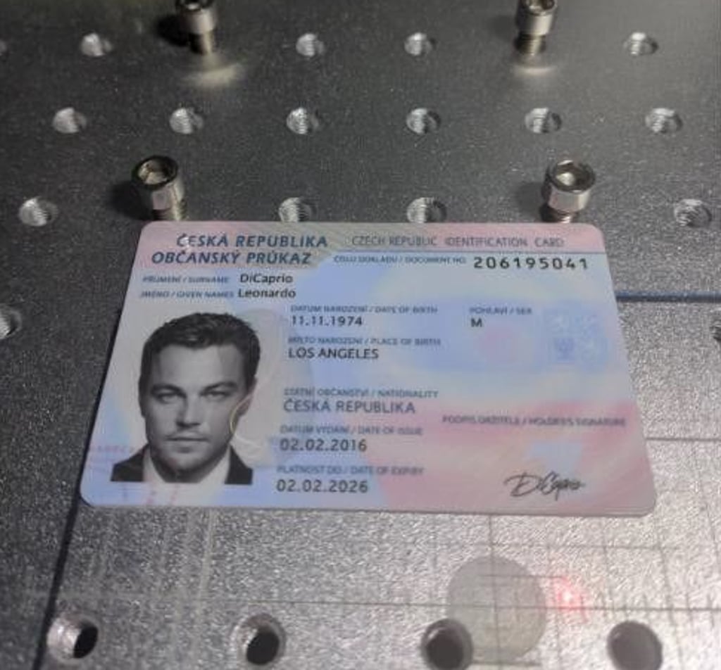 Bild eines totalgefälschten Ausweises, der von einem Mann aus dem Jerichower Land hergestellt worden sein soll.