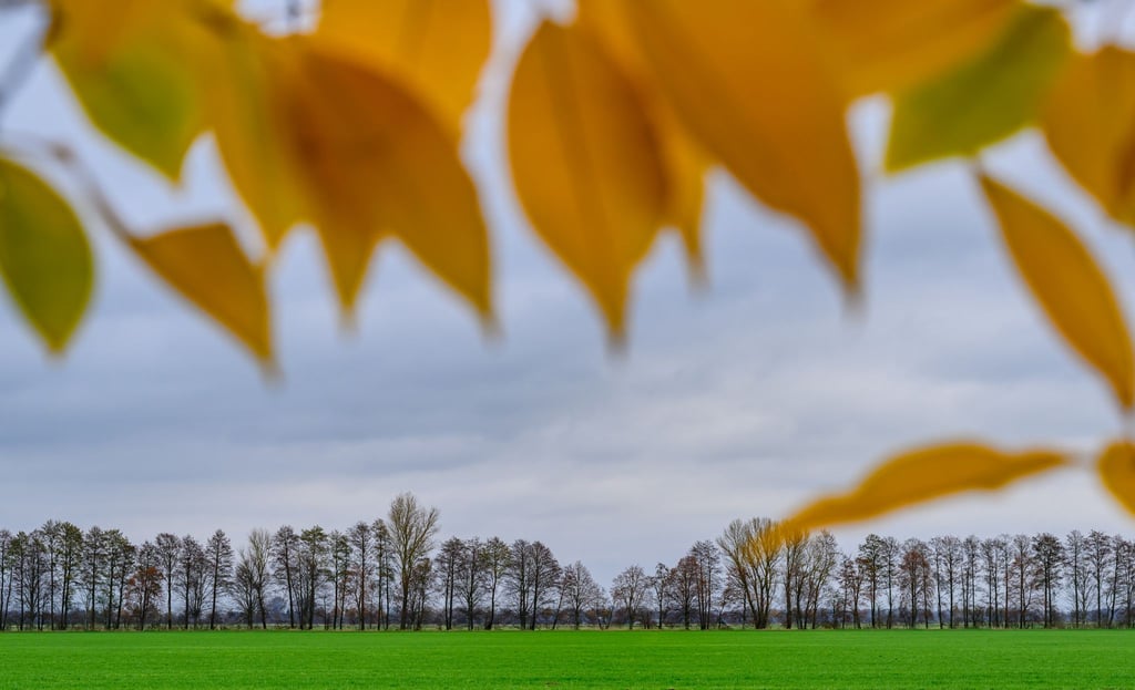 Nach dem Wintereinbruch werden die Temperaturen zum Wochenende hin wieder milder. (Archivfoto)