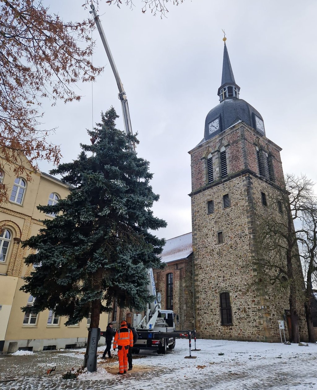 Sicher am Ziel: Die stattliche Blautanne wird zwischen Schule und Kirche auf dem Calvörder Marktplatz in Position gebracht – bereit, zum Mittelpunkt des Weihnachtsmarktes zu werden.