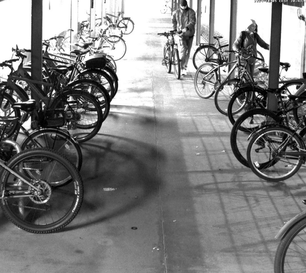 Die Polizei sucht Zeugen, die die mutmaßlichen Diebe identifizieren können.