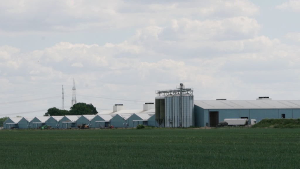 Die Schweinemastanlage Gerbisbach