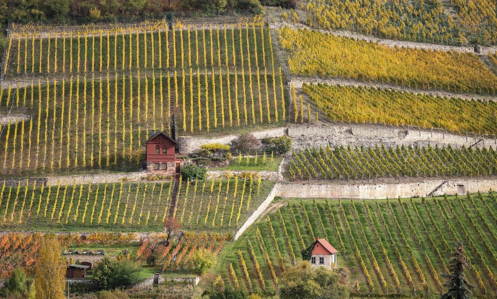 Der Herbst in Sachsen-Anhalt war eher mild. (Symbolbild)