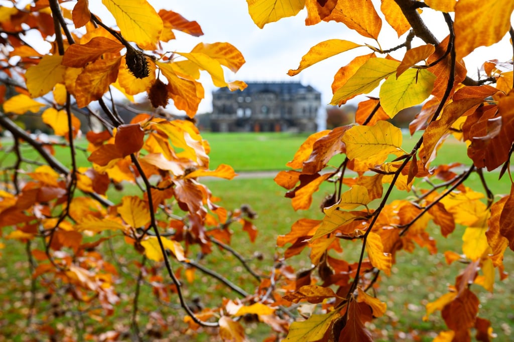 Der sächsische Herbst war in diesem Jahr mild. (Symbolbild)