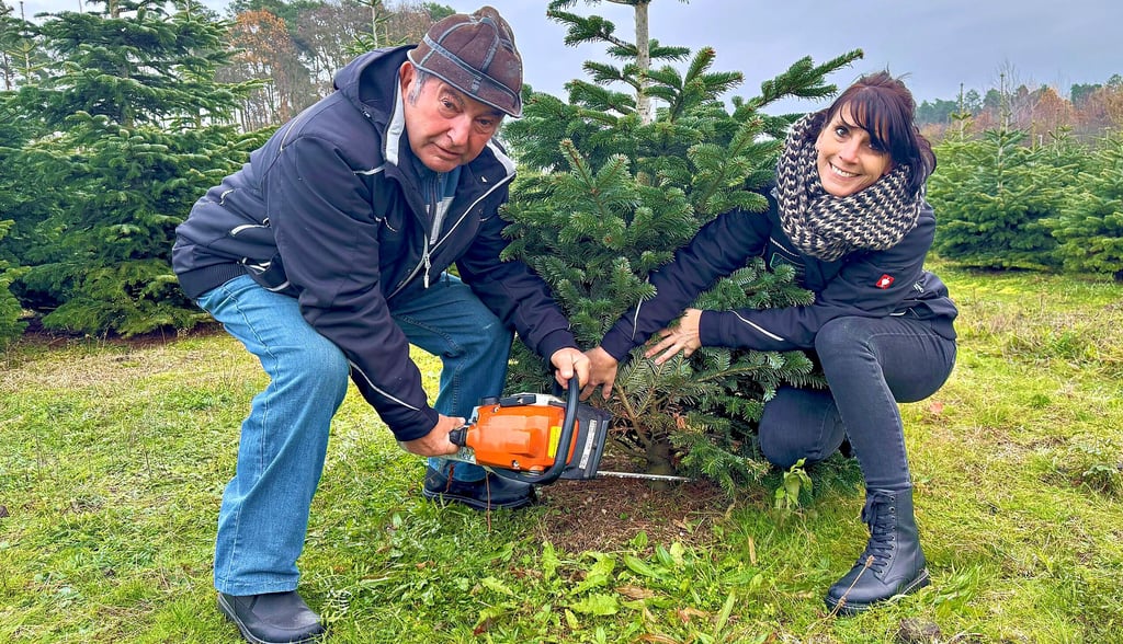 Günter Thiele hat die  knapp  zwei  Hektar große  Weihnachtsbaumplantage  zum 1. Juli  an  Tochter  Anke  Pflug übergeben.