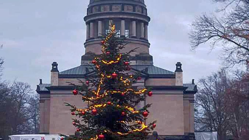 Der Weihnachtsbaum im Tierpark steht nun vor dem Mausoleum.