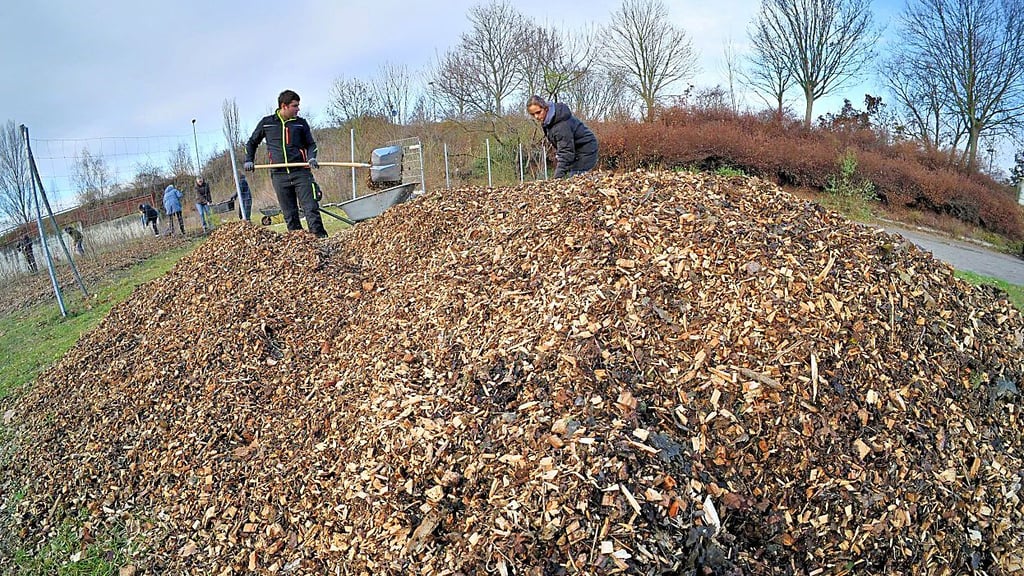 Hackschnitzel sollen das Unkraut in Ascherslebens Miniwald fernhalten.