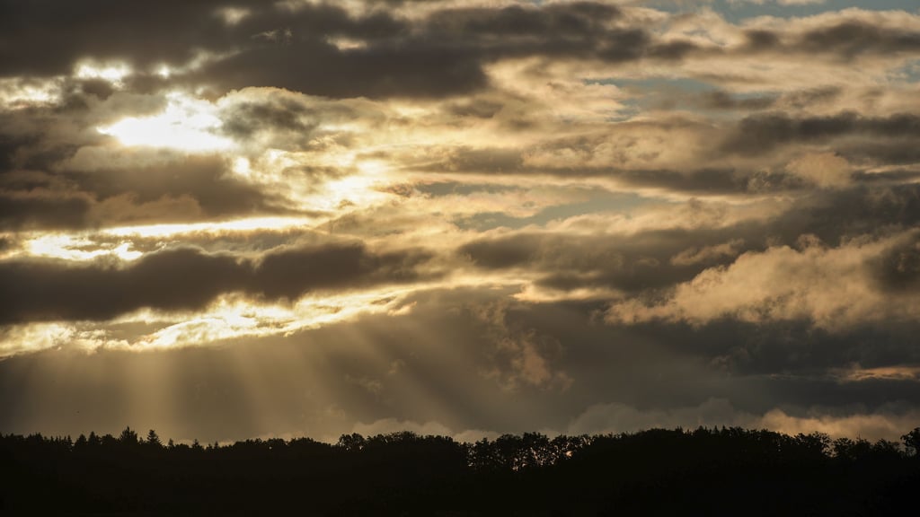 Der November in Sachsen-Anhalt bleibt grau und ungemütlich. Auch der Dezember startet trist.