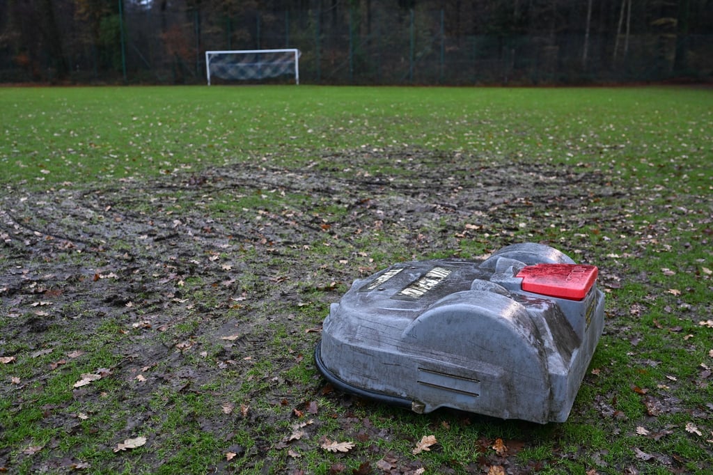 Rasenmähroboter „Robby“ hatte sich unbemerkt im Rasen festgefahren.