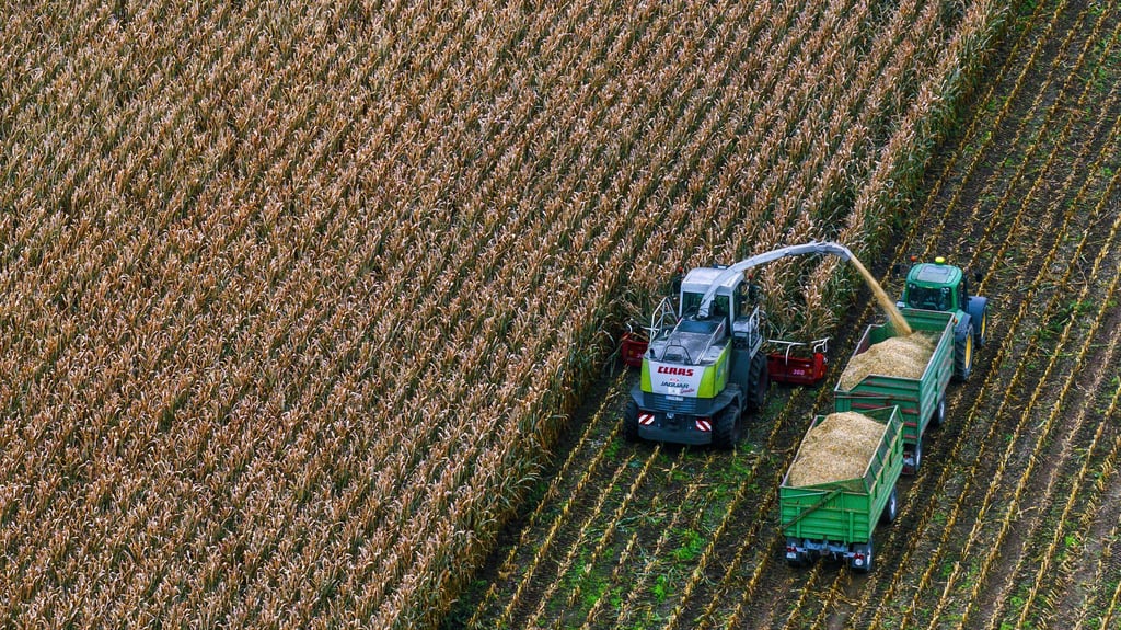 Ein australischer Investor kontrolliert mehr als 20.000 Hektar Agrarfläche in Sachsen-Anhalt.