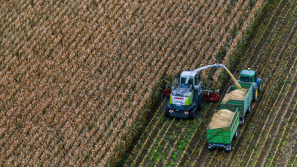 Ein australischer Investor kontrolliert mehr als 20.000 Hektar Agrarfläche in Sachsen-Anhalt.