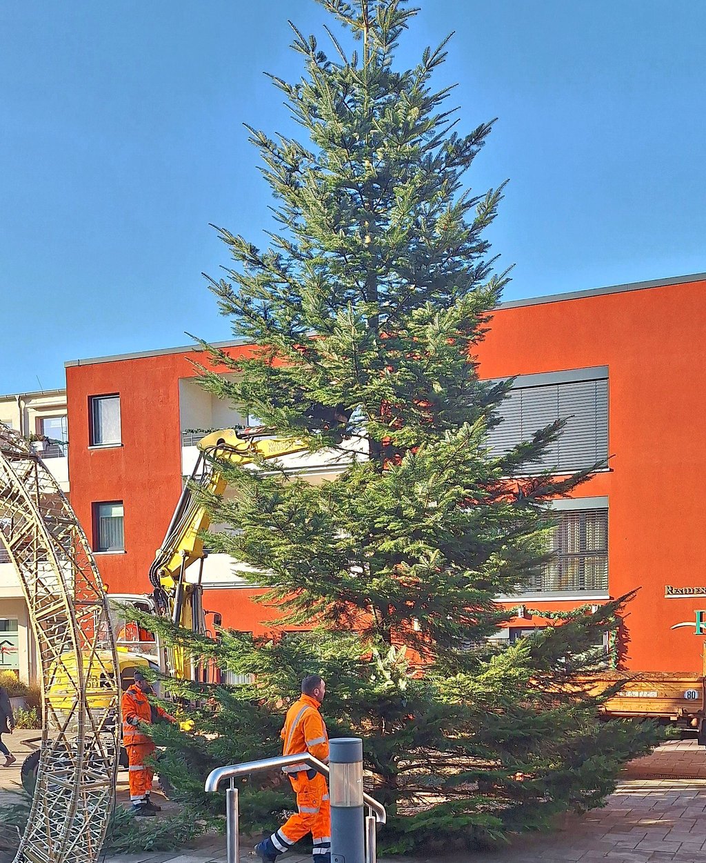 Mitarbeiter der Klötzer Stadtwirtschaft stellten am Mittwoch die Küstentanne auf dem Klötzer Schulplatz auf. 