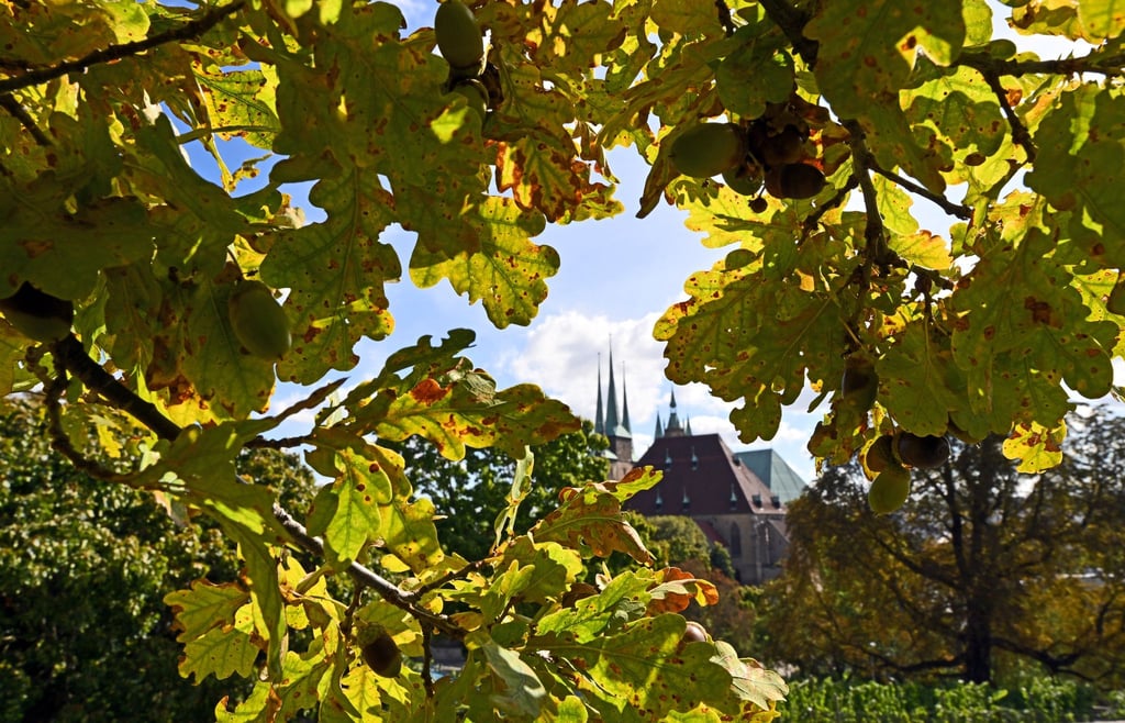 Das Wetter war im Herbst in Thüringen mild. (Symbolbild)