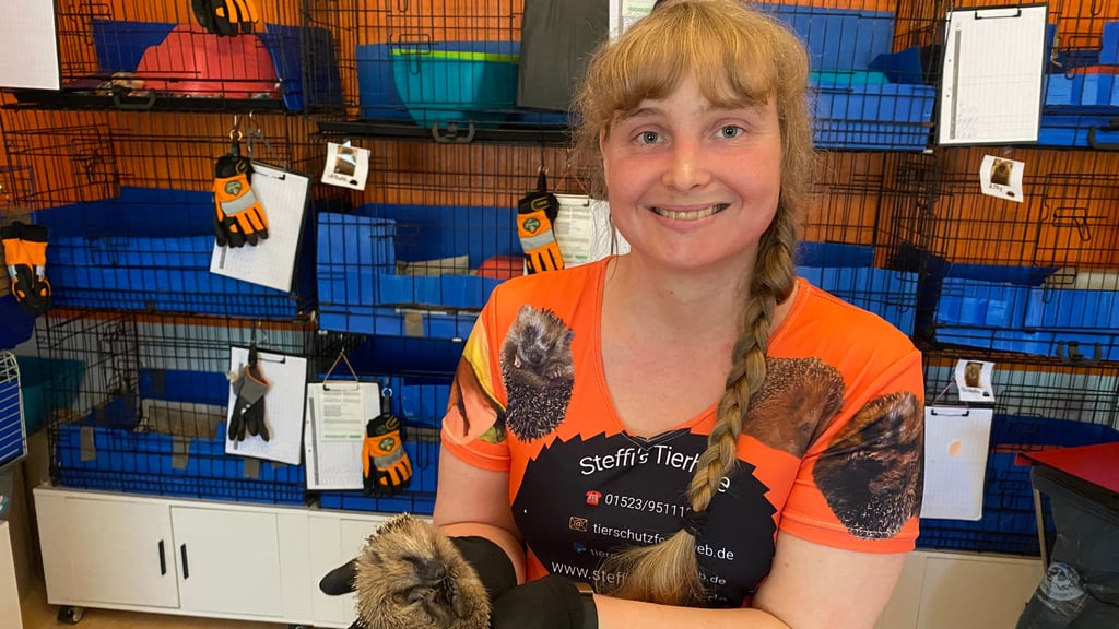 Igel-Lebensretterin Stefanie Jaksch peppelt die stachligen Wildtiere auf.