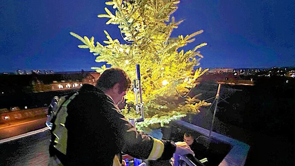 Kevin Megert (links) und Lukas Booß stellen den Baum an der  Feuerwache Stendal an. 