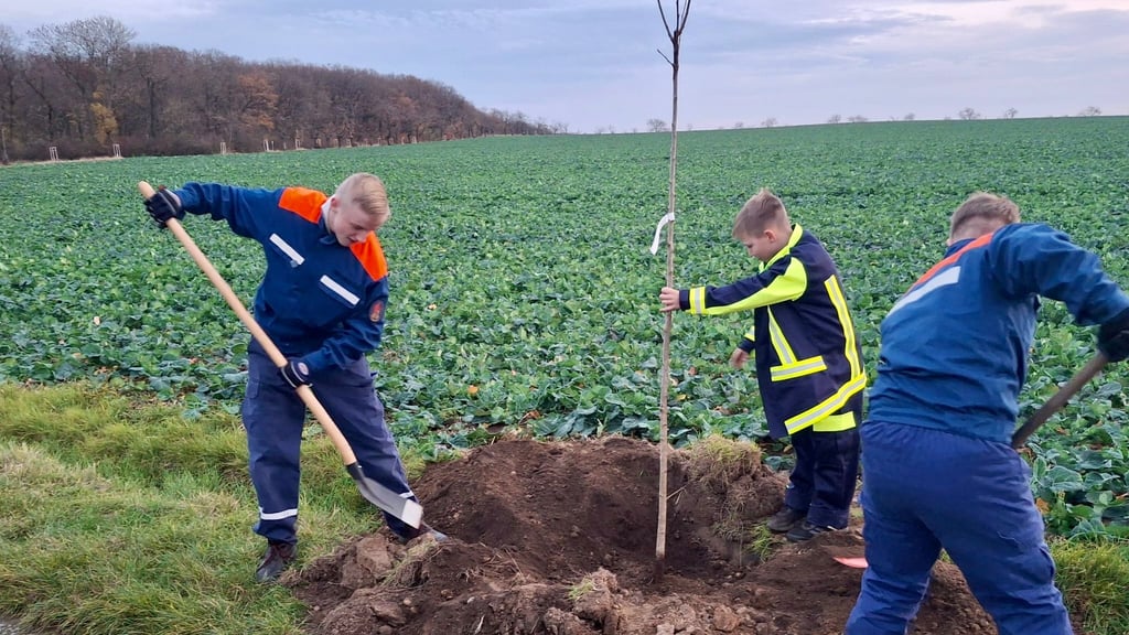 Heteborns Feuerwehrnachwuchs beteiligt sich an Obstbaum-Aktion in der Feldflur.