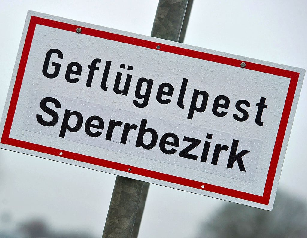 Die Sperr- und Schutzzone betrifft mehrere Orte.