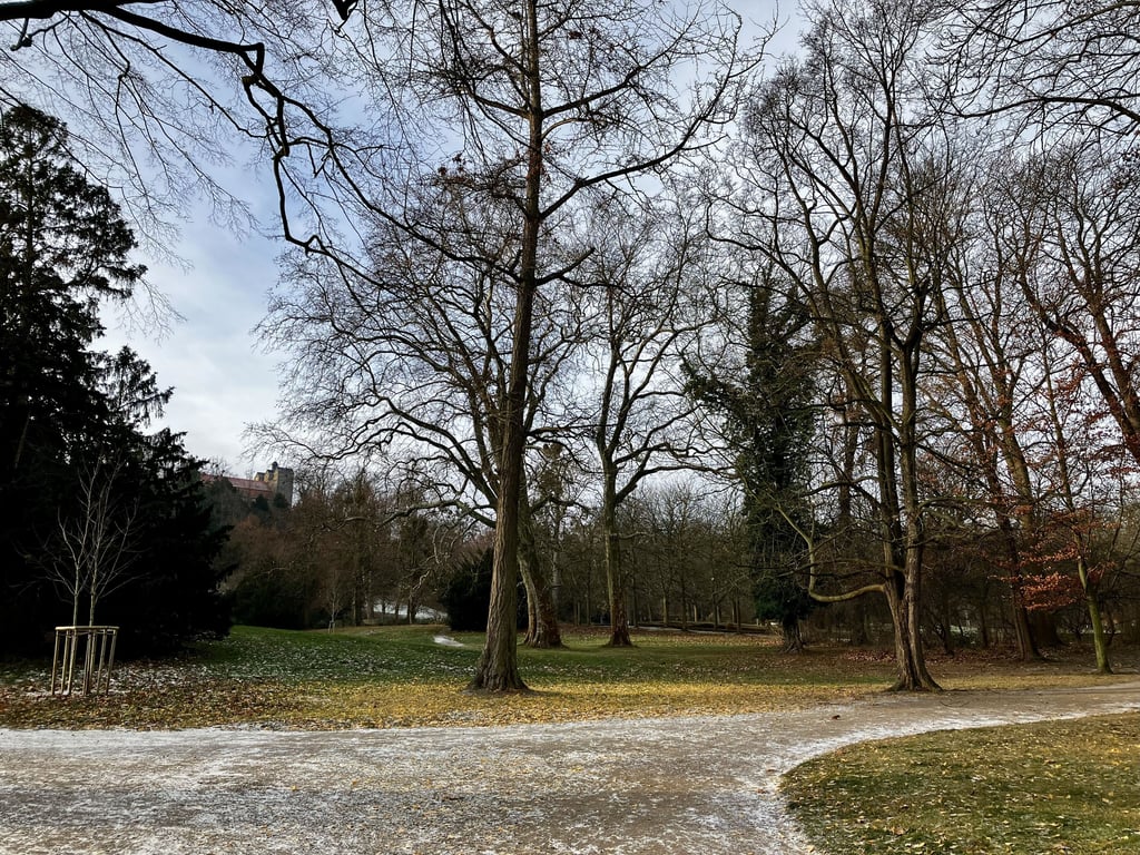 Der Schlosspark Ballenstedt wird saniert. Dabei werden Bäume gefällt und Totholz entfernt. 