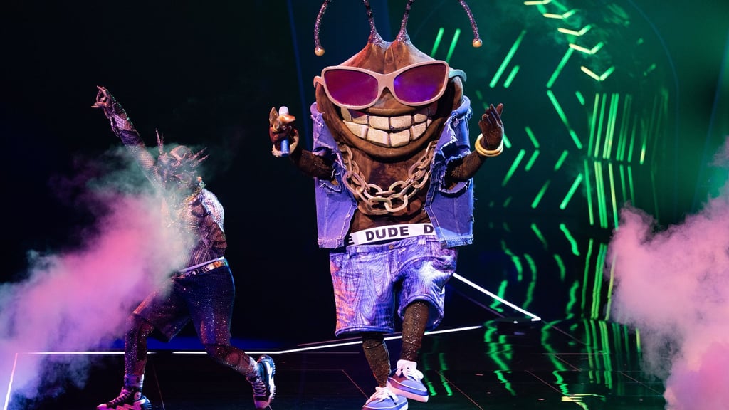 Die Stinkwanze „Dude“ ist bei der ProSieben-Show „The Masked Singer“ raus. (Archivbild)