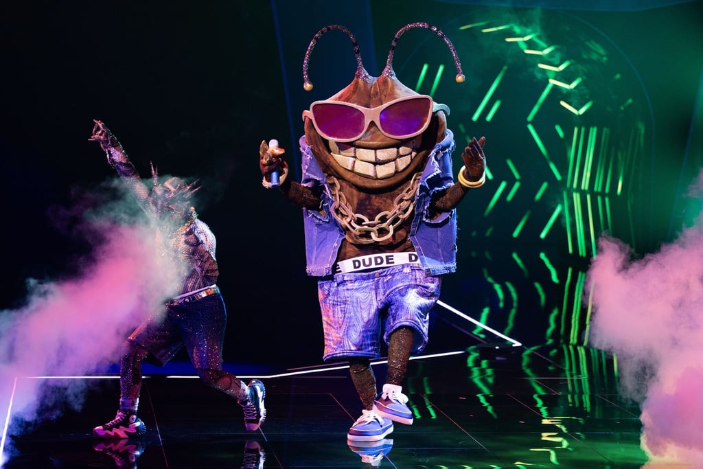 Die Stinkwanze „Dude“ ist bei der ProSieben-Show „The Masked Singer“ raus. (Archivbild)