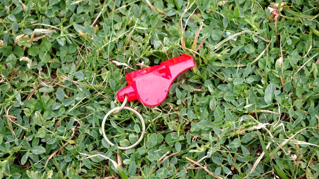 Dem Streik waren Angriffe und Beleidigungen gegen Schiedsrichter vorausgegangen. (Symbolbild)