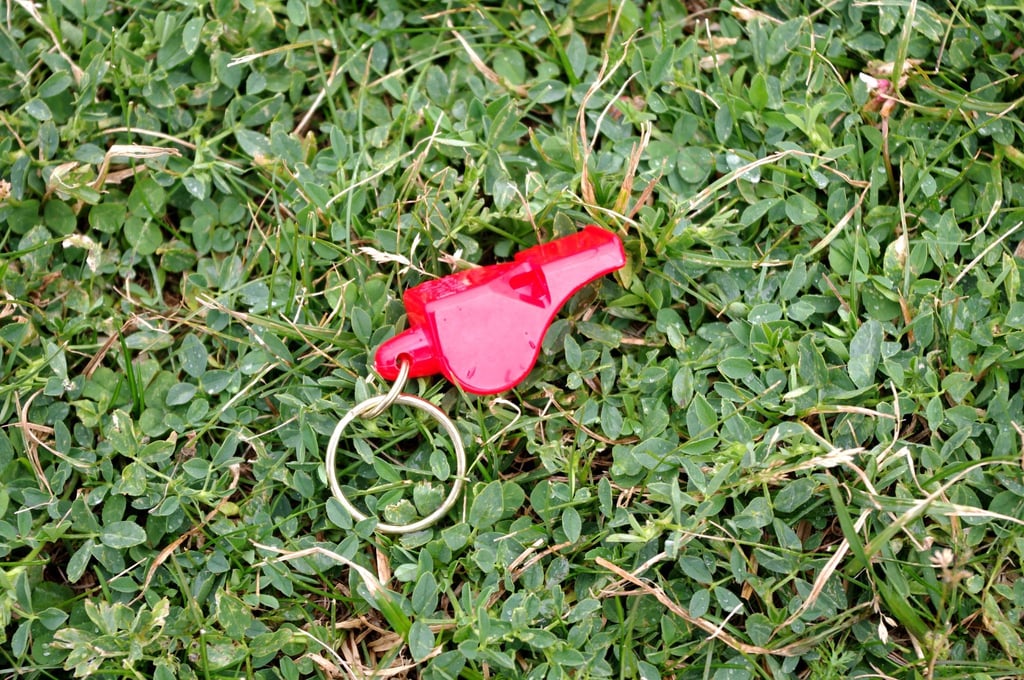 Dem Streik waren Angriffe und Beleidigungen gegen Schiedsrichter vorausgegangen. (Symbolbild)