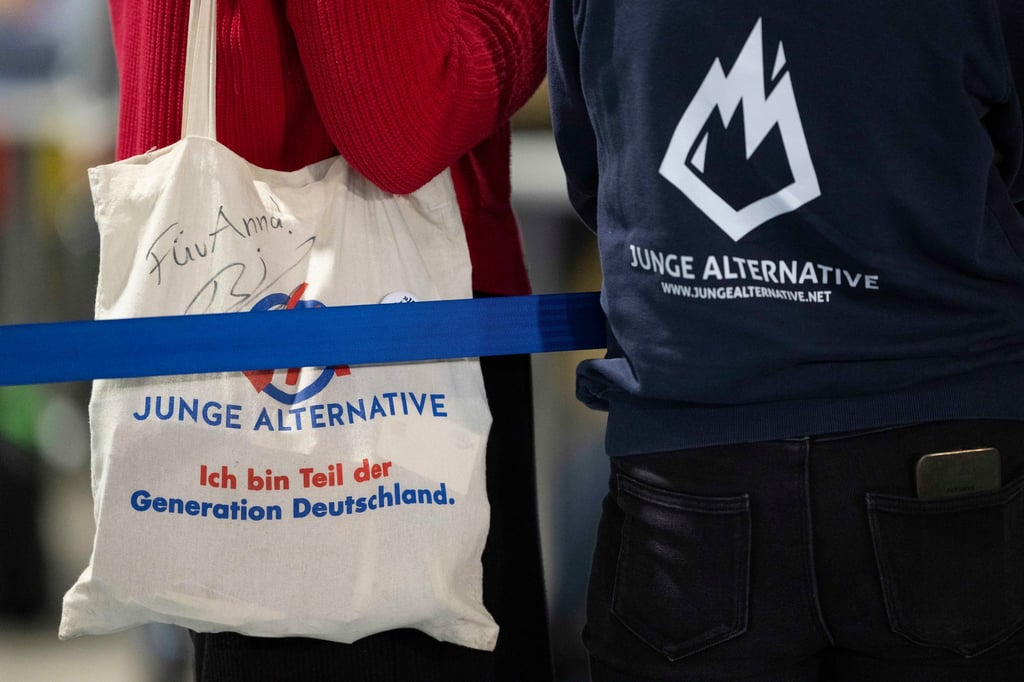 Die Junge Alternative ist Geschichte. Die neue AfD-Jugendorganisation soll „Generation Deutschland“ heißen. (Archivbild)