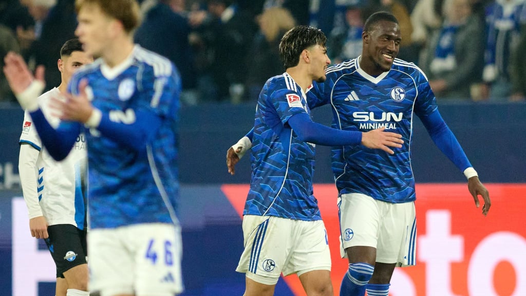 Bryan Lasme (r) schoss Schalke zum Sieg.
