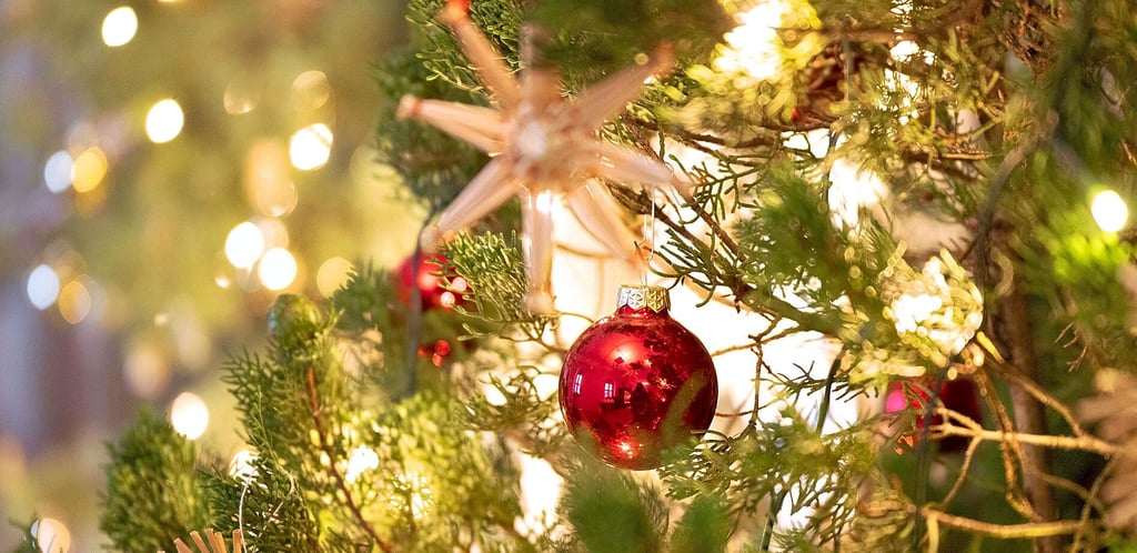 Die Eggersdorfer Weihnachtsgala findet am 14. Dezember im Wohnpark statt. Die hier erzielten Einnahmen kommen Kindern und Jugendlichen in Schönebeck zugute.