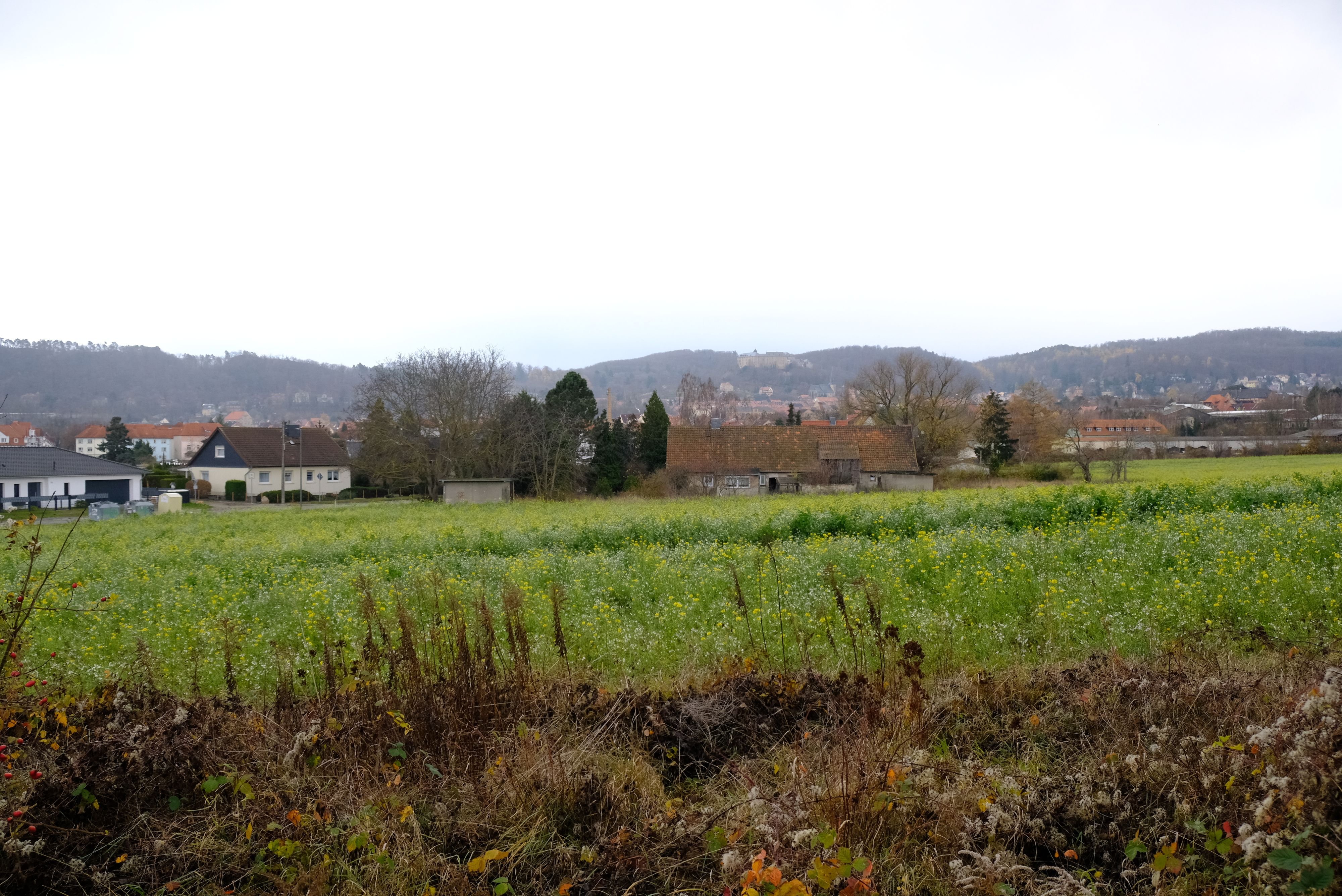 Bauen und Wohnen im Harz: Neues Baugebiet in Blankenburg mit Schloss- und FEW-Blick