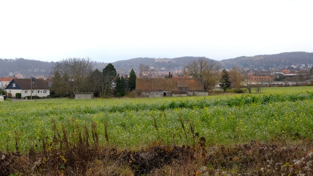 Noch ist diese Fläche in Blankenburg ein bewirtschafteter Acker. Hier könnten aber bald fünf neue Eigenheime entstehen.