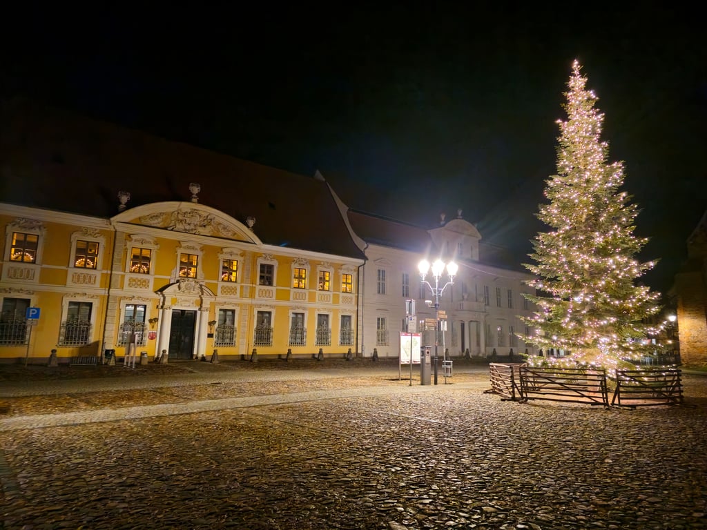 Seit Mittwoch erstrahlen der Christbaum und die Fenster des Zerbster Rathauses in vorweihnachtlichem Glanz.