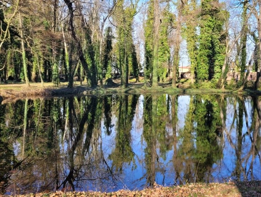Die Gewässer im Ostrauer Park sollen renaturiert werden. Um das in die Wege zu leiten, werden Fördergelder benötigt. Es ist eins von mehreren Projekten im Saalekreis.