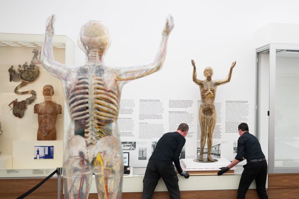 Das historische Modell der Gläsernen Frau wird im Deutschen Hygiene-Museum fortan in einer Klimavitrine präsentiert.