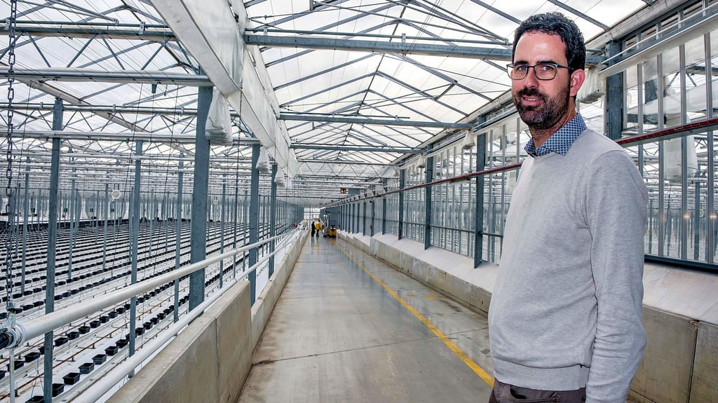 Die alten Pflanzen sind  draußen und werden kompostiert, in Kürze kommen die  neuen: Kevin van IJperen in einem der Gewächshäuser.     