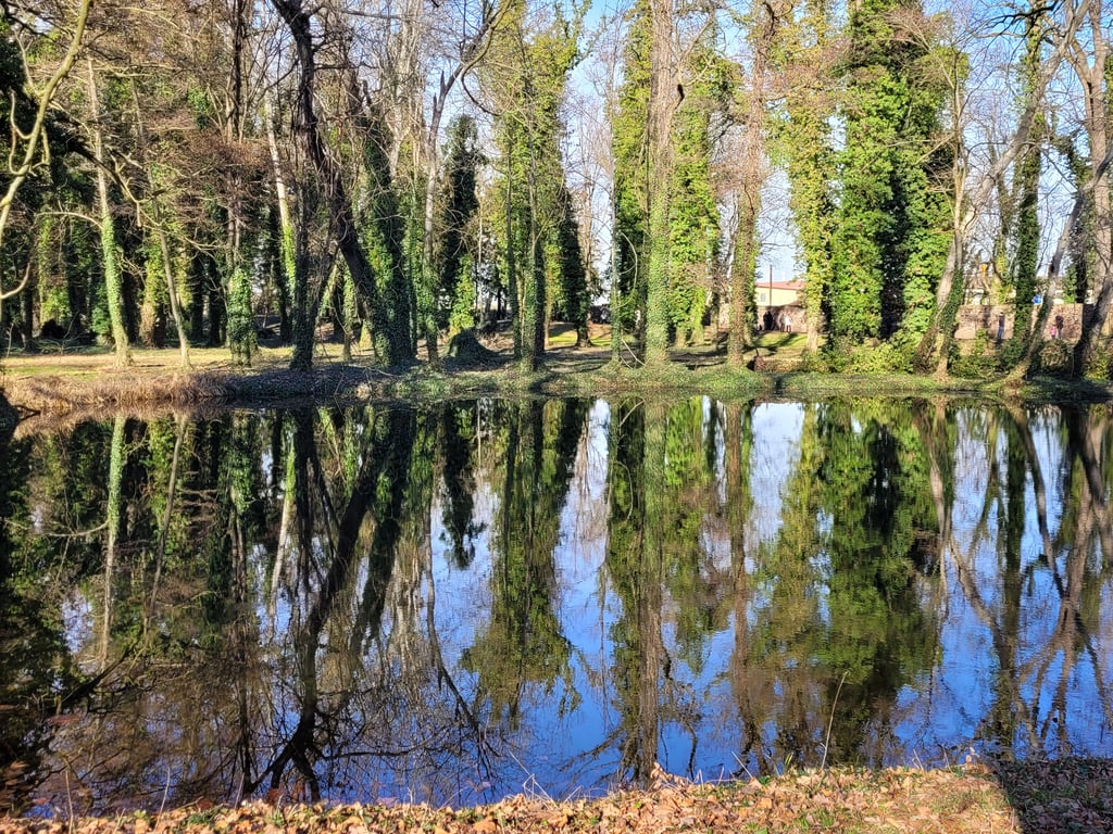 Die Gewässer im Ostrauer Park sollen renaturiert werden. Um das in die Wege zu leiten, werden Fördergelder benötigt. Es ist eins von mehreren Projekten im Saalekreis.