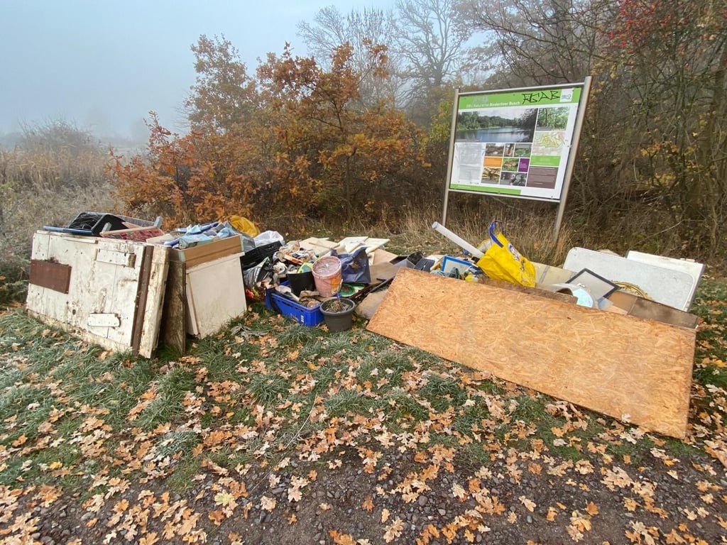 Der Biederitzer Busch in Magdeburg ist eigentlich ein begehrtes Ausflugsziel für Spaziergänger. Doch die Idylle wird immer wieder von illegal abgelegtem Müll gestört.