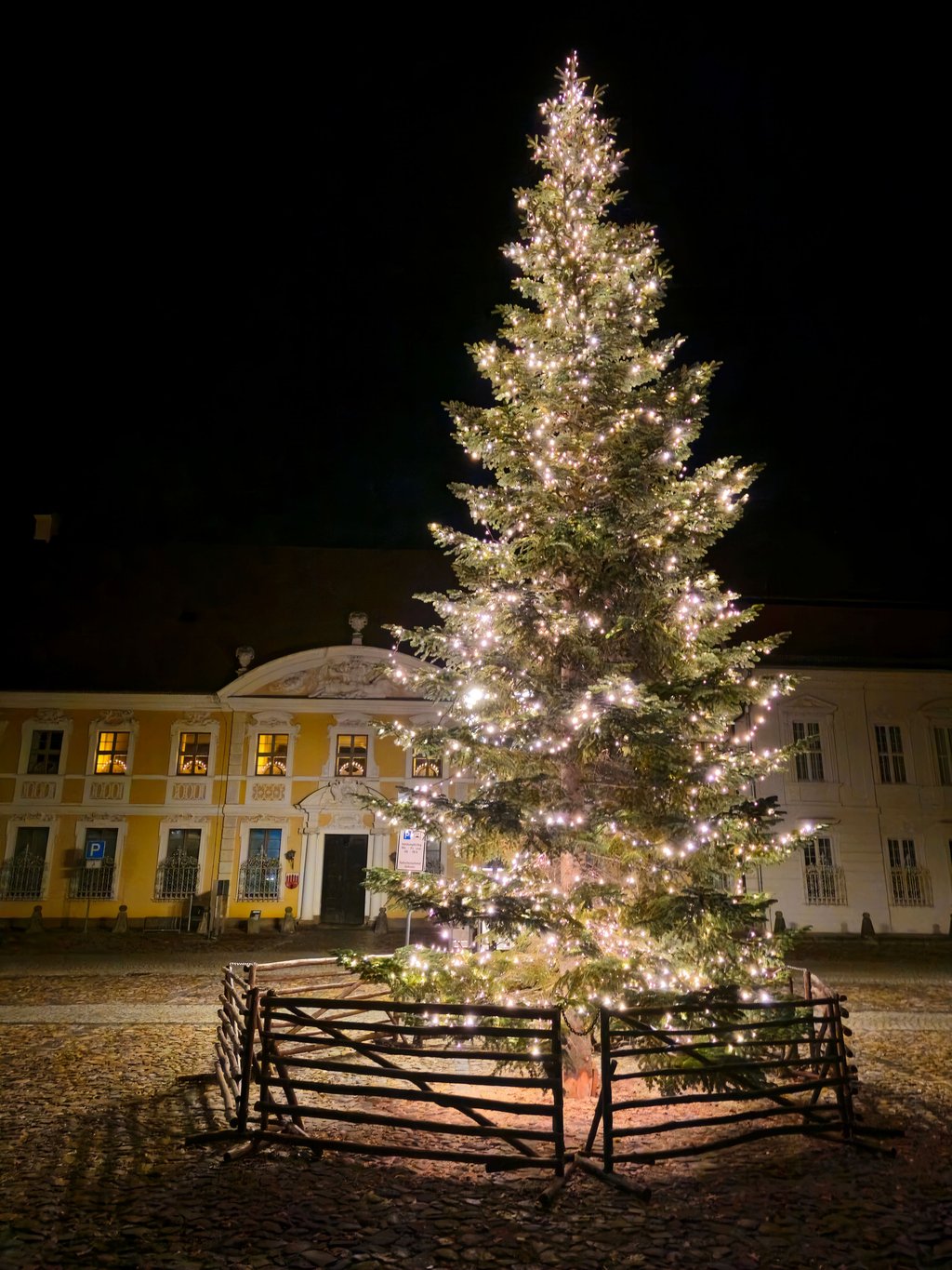 Seit Mittwoch erstrahlen der Christbaum und die Fenster des Zerbster Rathauses in vorweihnachtlichem Glanz.