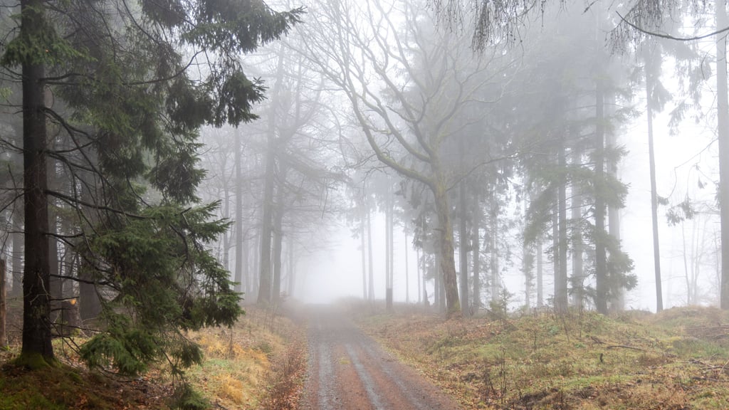 Wetter in Sachsen-Anhalt: Grauer Himmel und relativ milde Temperaturen zum Wochenstart.