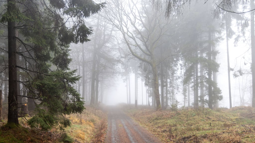 Wetter in Sachsen-Anhalt: Grauer Himmel und relativ milde Temperaturen zum Wochenstart.