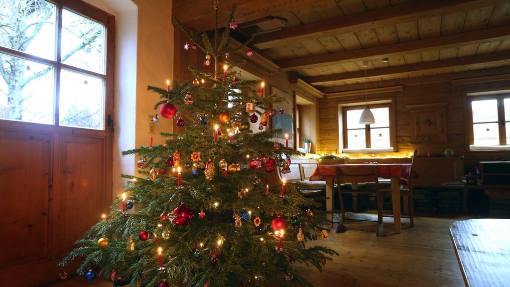 Ein Weihnachtsbaum mit echten Kerzen - da kommt bei vielen Leuten so richtig Feststimmung auf.