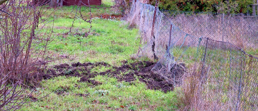 Kaputte Zäune und aufgewühlte Erde rund um die Kleingartenanlage „Das Brückfeld“ in der Magdeburger Straße. 