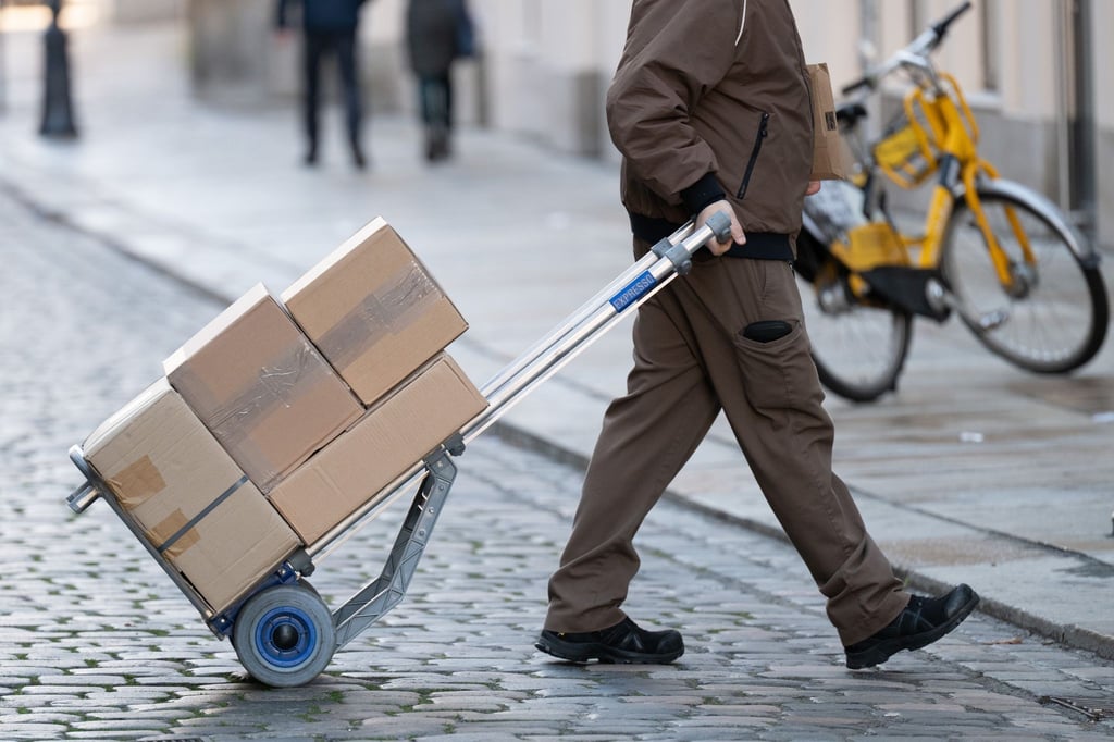 Zwei Paketzusteller in Braunschweig wollten offenbar illegal ihr Gehalt aufbessern. (Symbolbild)