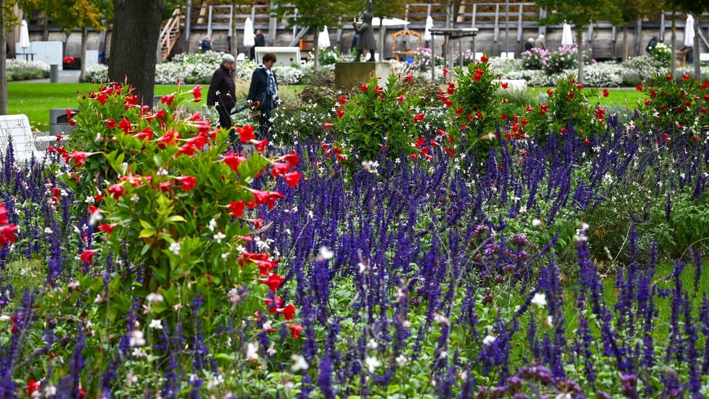 Im vergangenen Jahr fand die Landesgartenschau in Bad Dürrenberg statt. (Archivbild)